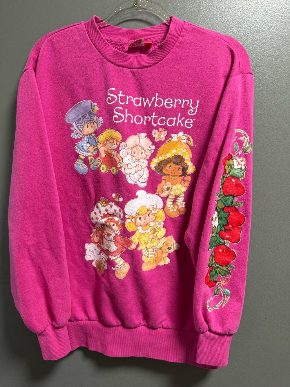 Strawberry Shortcake Pink Graphic Long Sleeve Sweatshirt Size Medium
